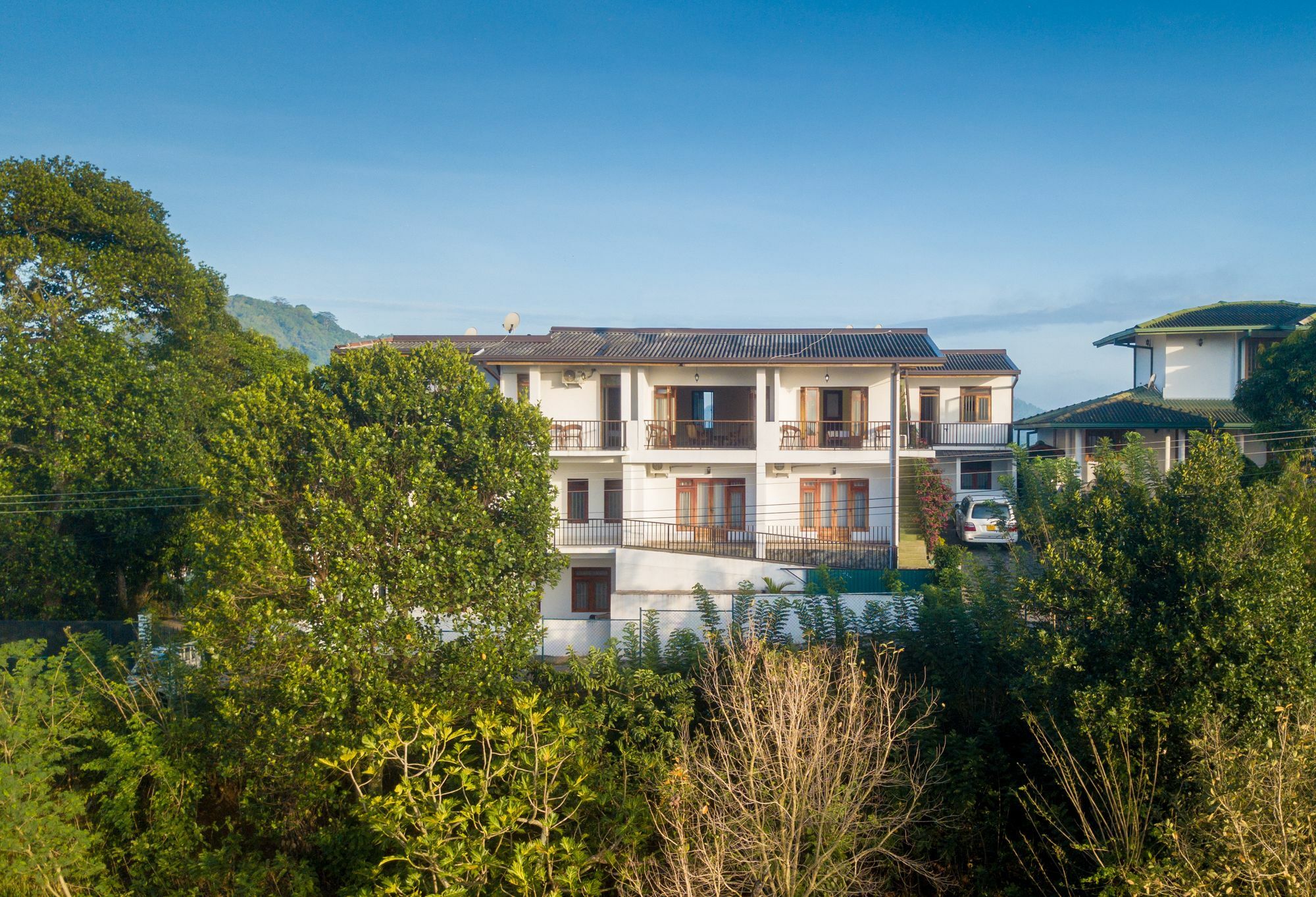 Jack Tree Lodge Kandy Eksteriør billede