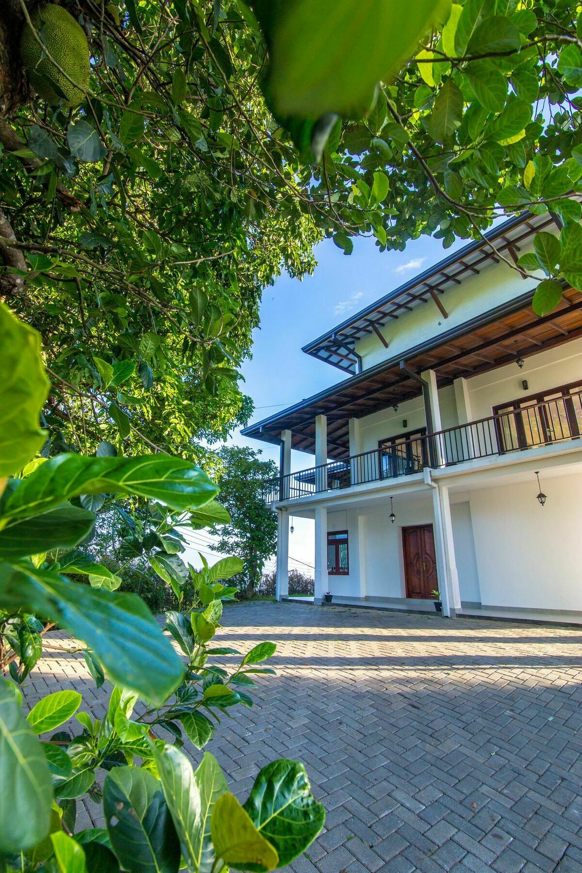 Jack Tree Lodge Kandy Eksteriør billede